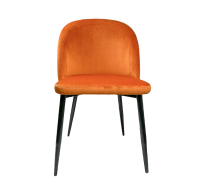 Siena riviera 51 мк3