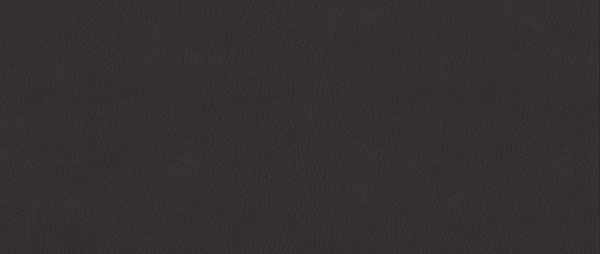 Искусственная кожа NEVADA 93