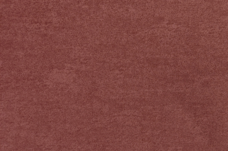 Cherry-20_1