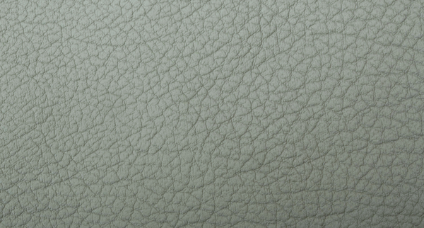 cordova claro gris (светло-серый)