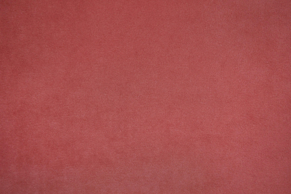 merida 31