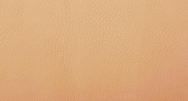 Cordova_Trigo_1