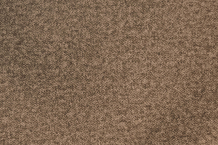 Daisy-05_1(1)