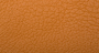 Cordova_Camello_2